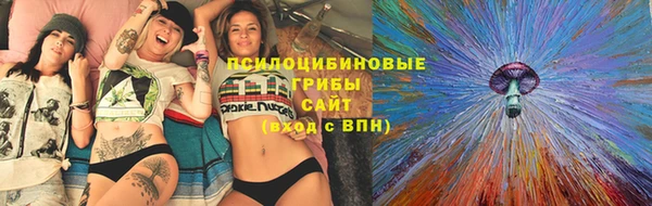 ECSTASY Долгопрудный
