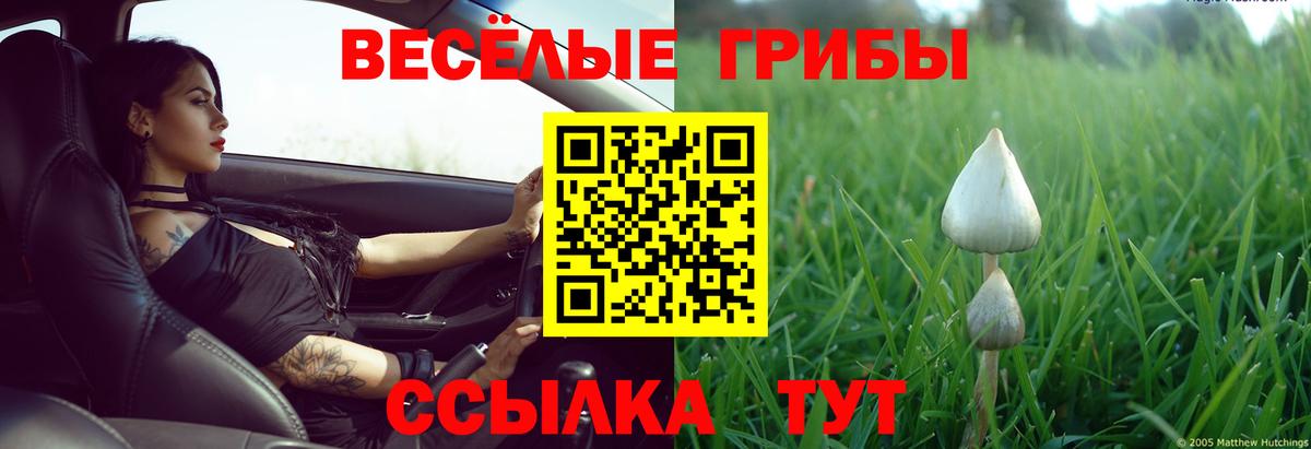 Псилоцибиновые грибы Psilocybe  Псилоцибиновые грибы мухоморы  Кимовск  Вход с VPN 